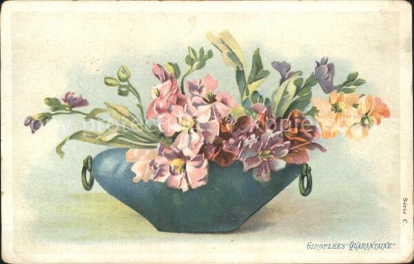 Blumen Levkojen Giroflees Quarantaine Litho