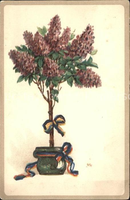 Blumen Flieder Litho Schwarz-Gold
