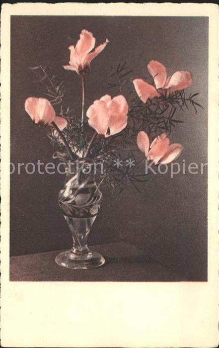 Blumen Alpenveilchen Vase