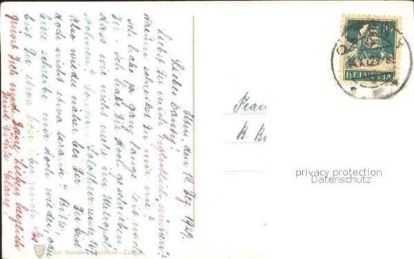 Rosen – Bild 2
