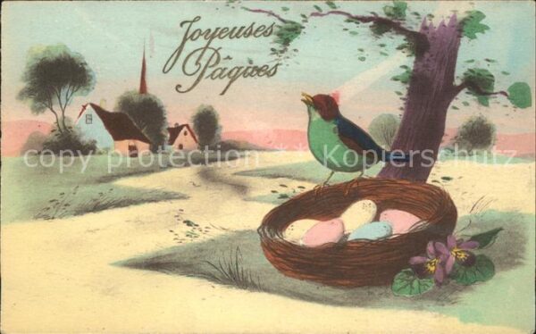Voegel Ostern Nest Ostereier Veilchen