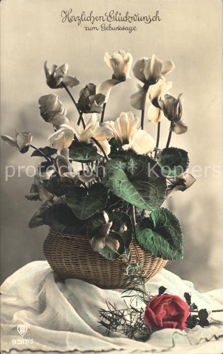 Foto HB Nr. 9287/5 Geburtstag Alpenveilchen Rose