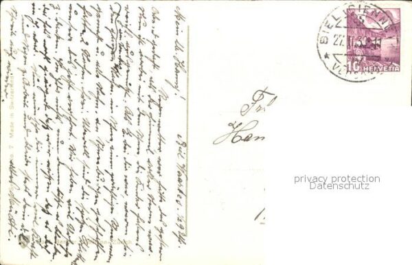 Rosen – Bild 2