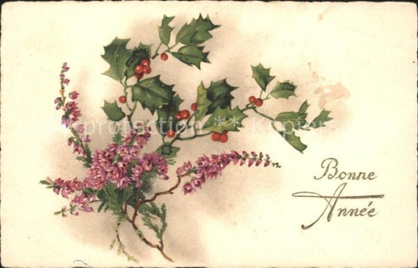 Neujahr Stechpalme Blumen Litho
