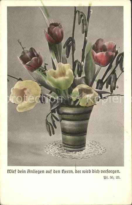 Blumen Tulpen Hasel Psalm