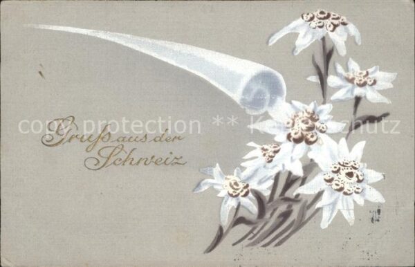 Edelweiss Gruss aus der Schweiz