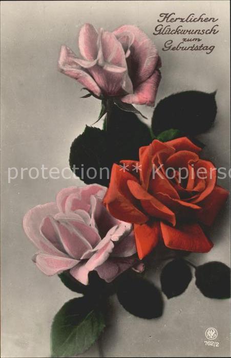 Rosen Glückwunsch Geburtstag Verlag-NPG-Nr. 7