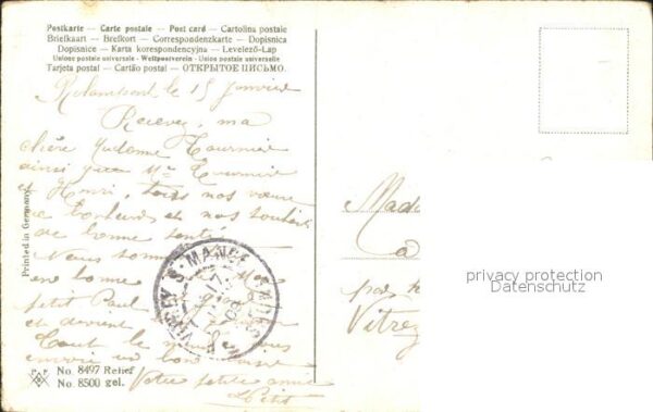Neujahr Veilchen – Bild 2