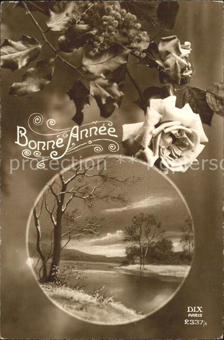 Verlag DIX Paris Nr. 2337/5 Neujahr Rosen