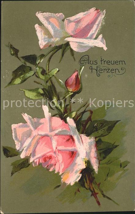 Rosen