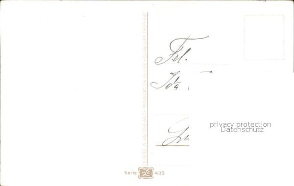 Rosen – Bild 2