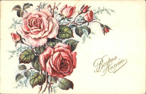 Rosen Neujahr