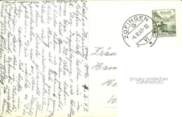 Rosen – Bild 2