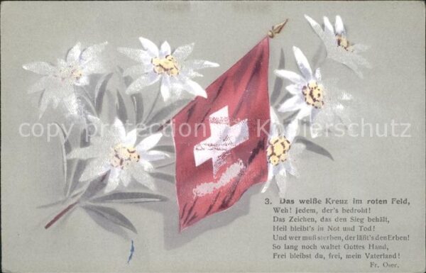 Edelweiss Fahne Schweiz Das weisse Kreuz im roten