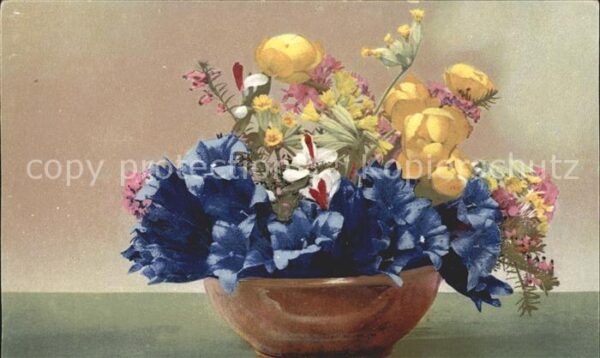 Blumen Enzian Trollblumen
