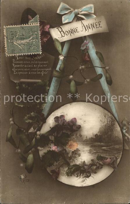 Neujahr Blumen Mistel Stechpalme