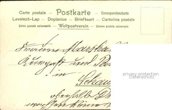 Tannenzapfen Postkarte mit Blumenduft – Bild 2