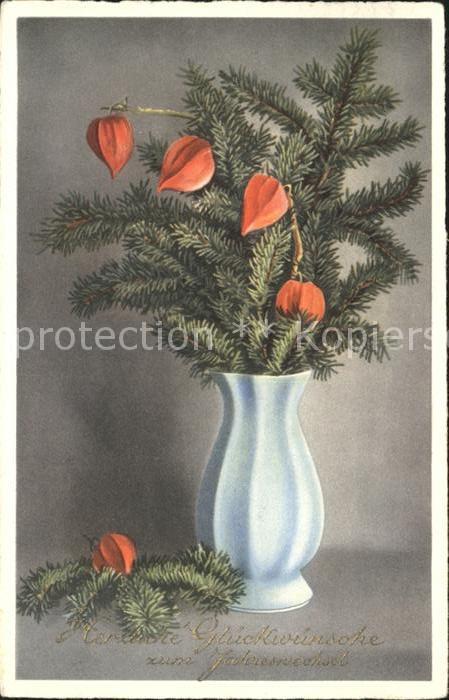 Neujahr Lampionblume Vase
