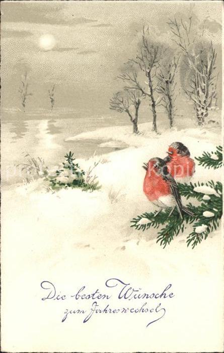 Neujahr Vögel Litho