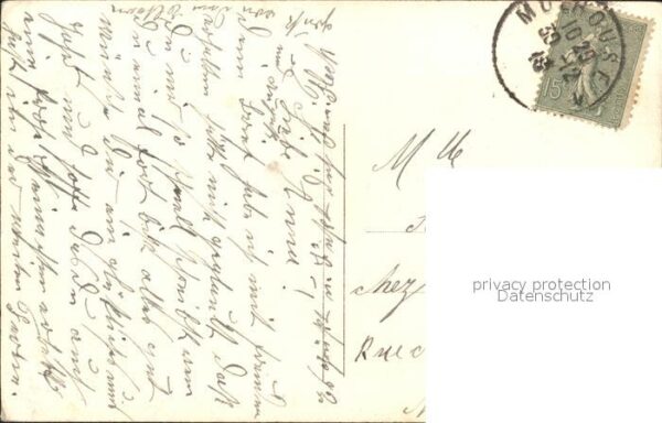 Neujahr Stechpalme – Bild 2