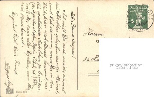 Rosen Nelken – Bild 2
