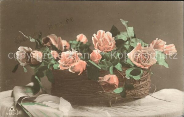 Foto PH Nr. 4650-3 Rosen
