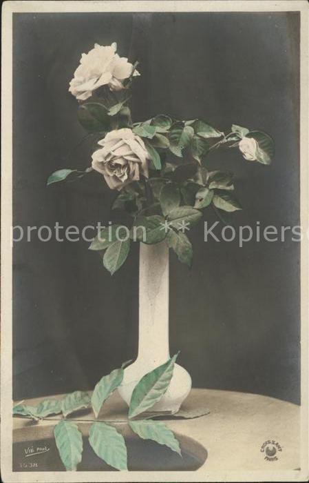 Rosen Vase Foto-Vie-Nr. 3538