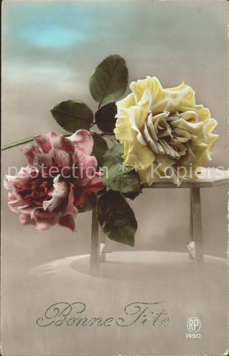 Rosen Foto-RP-Nr. 1490