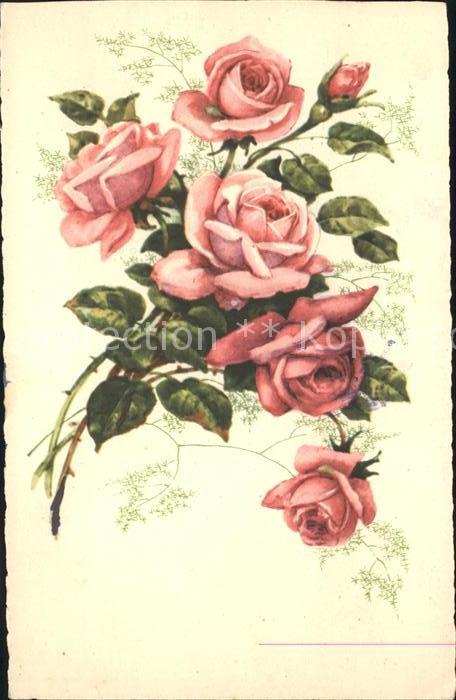 Rosen