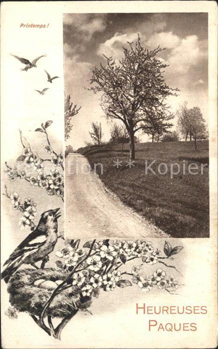 Ostern Easter Paques Vogel Vogelnest Blumen Baum