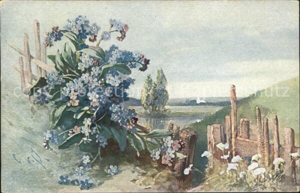Blumen Vergissmeinnicht