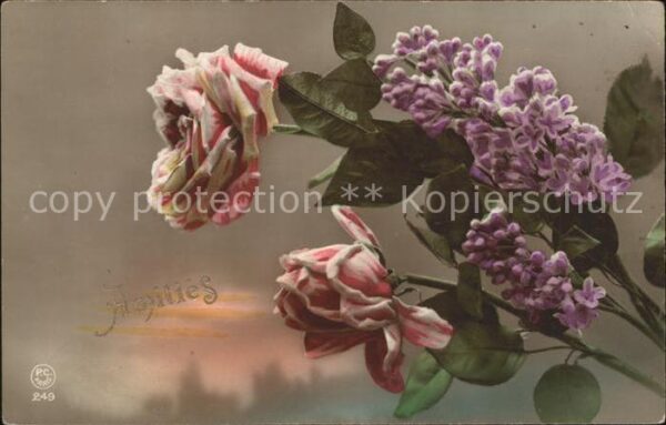 Foto PC Paris Nr. 249 Rosen Freundschaft
