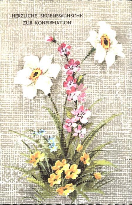 Konfirmation Narzissen Schlüsselblumen