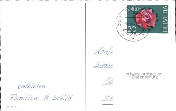 Konfirmation Bibel Gänseblümchen Vergissmeinnicht – Bild 2
