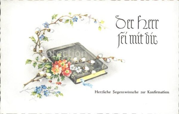 Konfirmation Bibel Primeln Weidenkätzchen