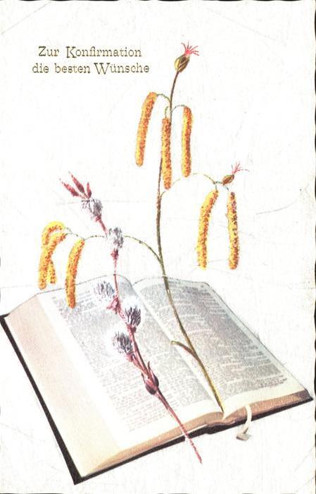 Konfirmation Bibel Hasel