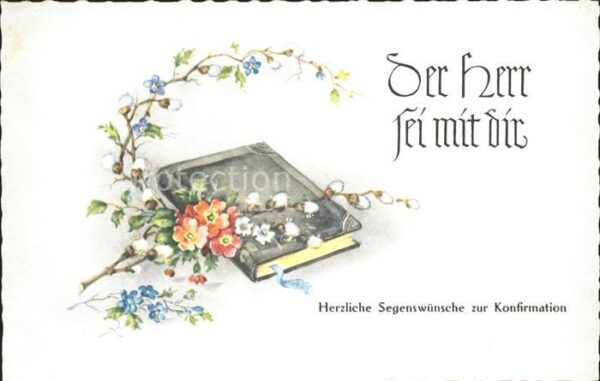 Konfirmation Primeln Weidenkätzchen Vergissmeinnicht
