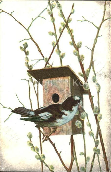 Voegel Vogelhaus Weidenkätzchen