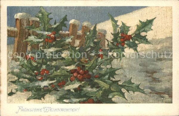 Weihnachten Stechpalme