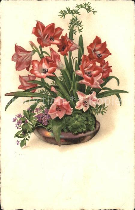 Blumen Lilien Litho