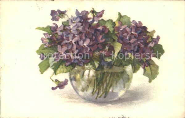 Blumen Veilchen Vase