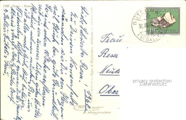 Rosen – Bild 2