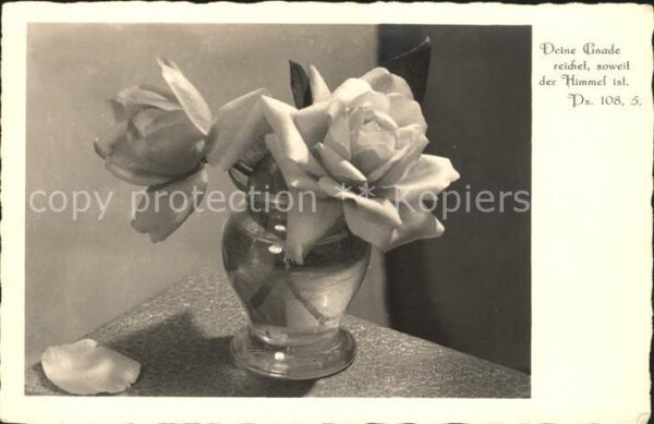 Rosen Vase
