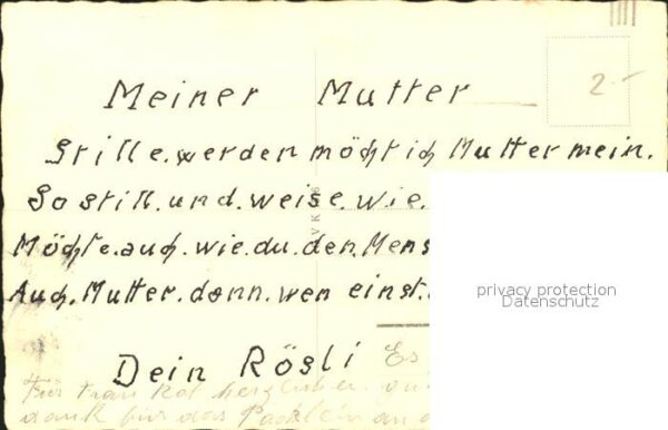 Rosen Vase – Bild 2