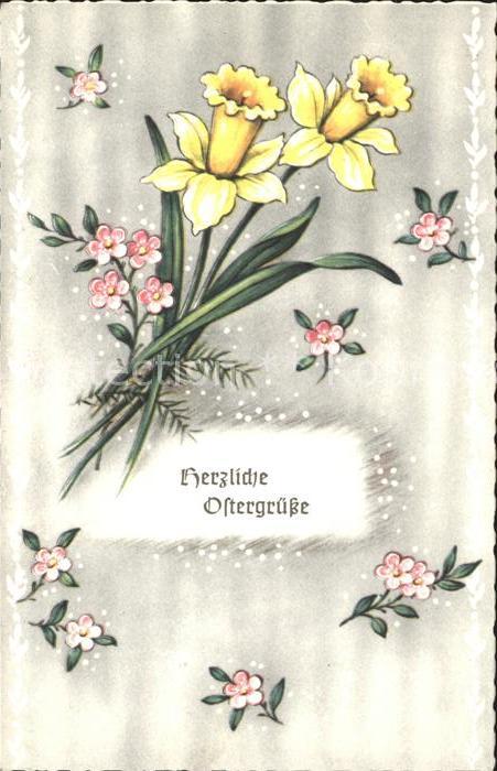 Ostern Easter Paques Narzissen