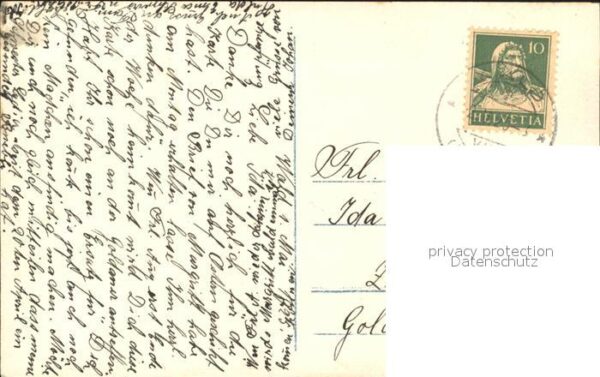 Foto NPG Nr. 7635/1 Rosen – Bild 2