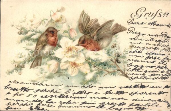 Voegel Rotkehlchen Blumen Litho