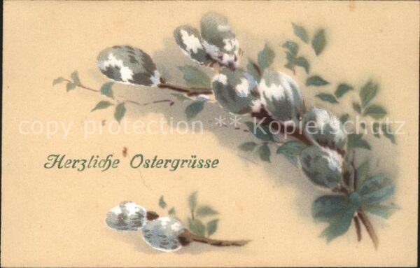 Ostern Easter Paques Weidenkätzchen