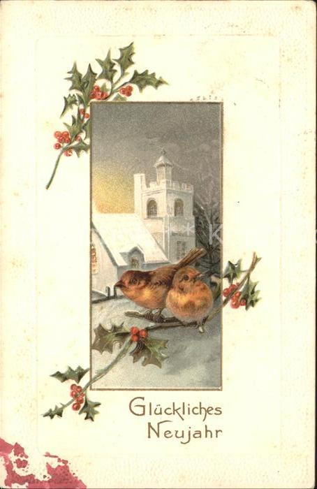 Voegel Neujahr Stechpalme Litho