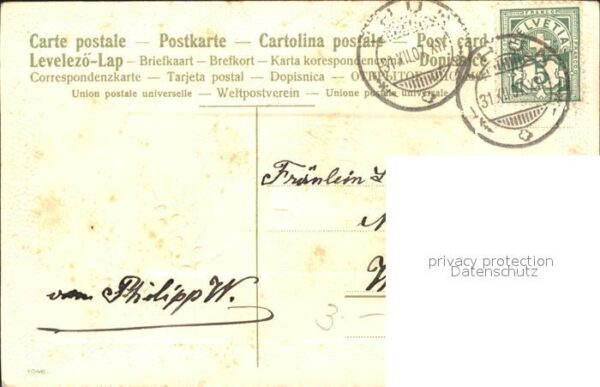 Voegel Neujahr Stechpalme Litho – Bild 2